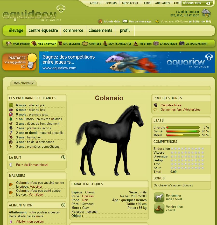 découvrez les meilleures astuces pour progresser sur equideow : conseils, stratégies et secrets pour bien gérer votre élevage de chevaux virtuels et optimiser vos parties.