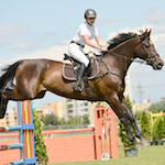 découvrez les meilleurs centres équestres dans le loiret : cours d'équitation, stages, balades à cheval et pension pour chevaux. trouvez l'écurie idéale près de chez vous !