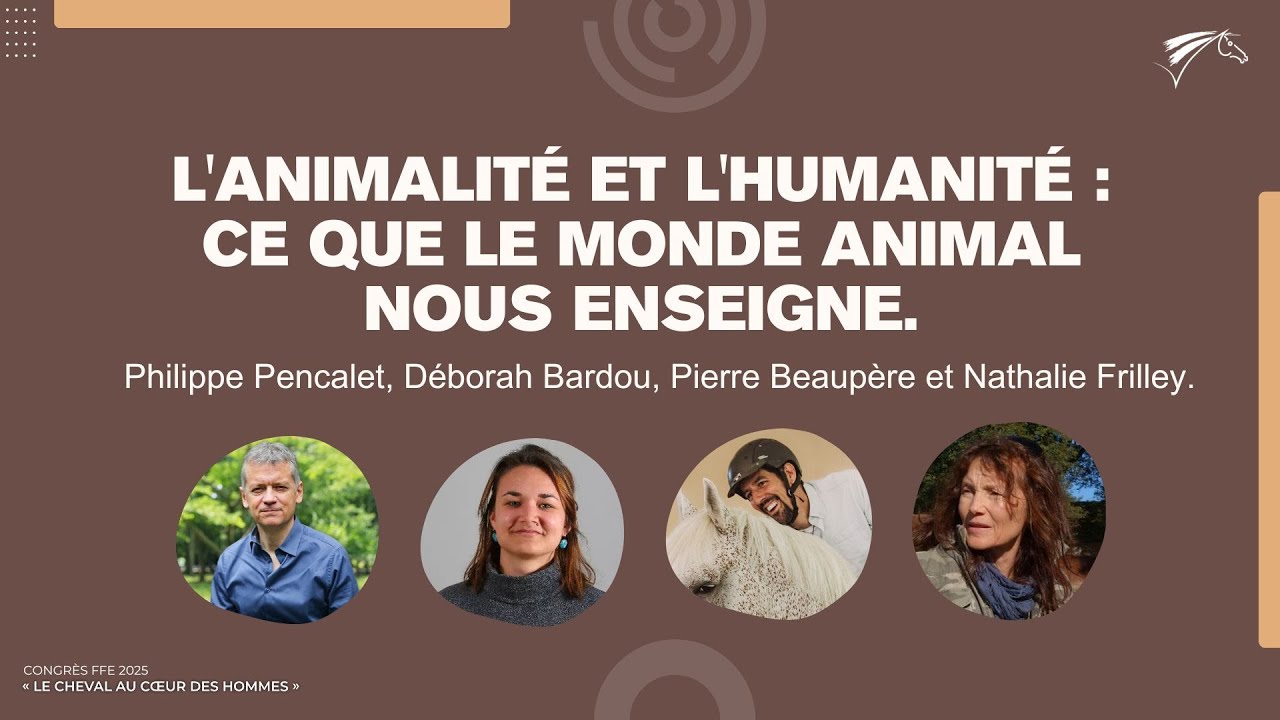 participez au congrès ffe dédié aux passionnés adultes et vivez une expérience enrichissante autour de l’équitation, d’ateliers, de conférences et de rencontres conviviales. inscrivez-vous dès maintenant !