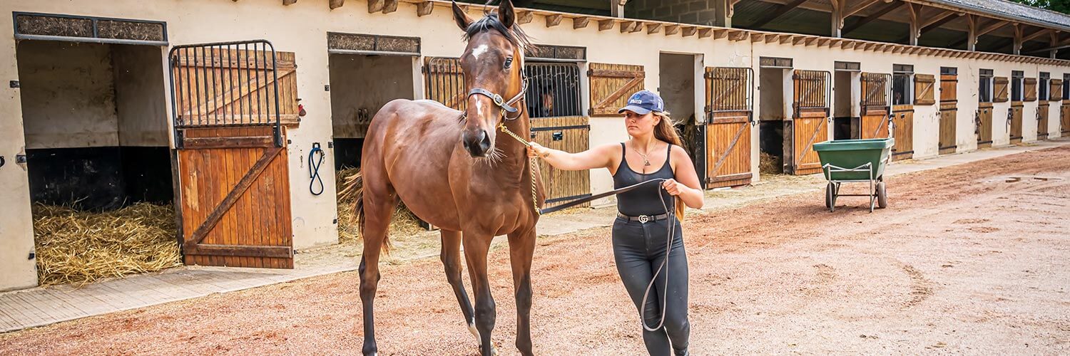 découvrez le métier de palefrenier : missions, compétences requises, environnement de travail et perspectives d’évolution pour ceux qui souhaitent travailler au contact des chevaux.
