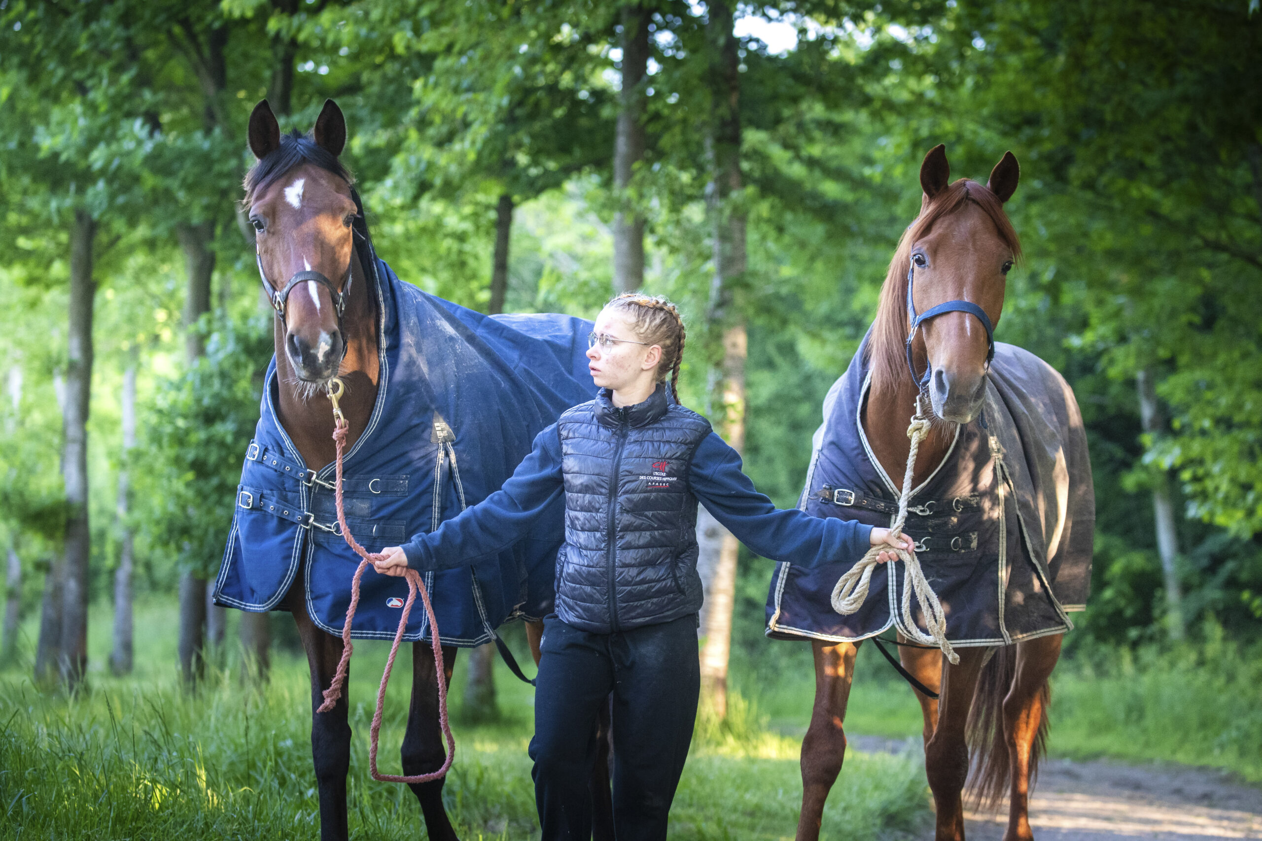 découvrez le métier de palefrenier : missions, compétences requises, formations et quotidien de ce professionnel dédié au soin et au bien-être des chevaux.