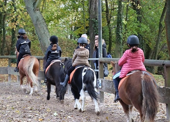 découvrez notre poney club et profitez d'activités équestres adaptées à tous les âges : cours, balades, stages et animations pour vivre une expérience unique avec les poneys et chevaux dans une ambiance conviviale.