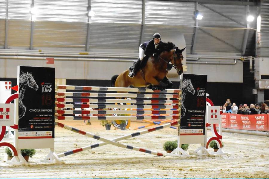 découvrez les activités uniques de notre poney club au bord du lac léman : balades à poney, ateliers ludiques et moments inoubliables en pleine nature pour enfants et familles !