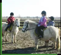 découvrez le poney club de blagnac : cours d'équitation, stages, balades pour enfants et adultes dans un cadre convivial près de toulouse. inscrivez-vous dès aujourd'hui !