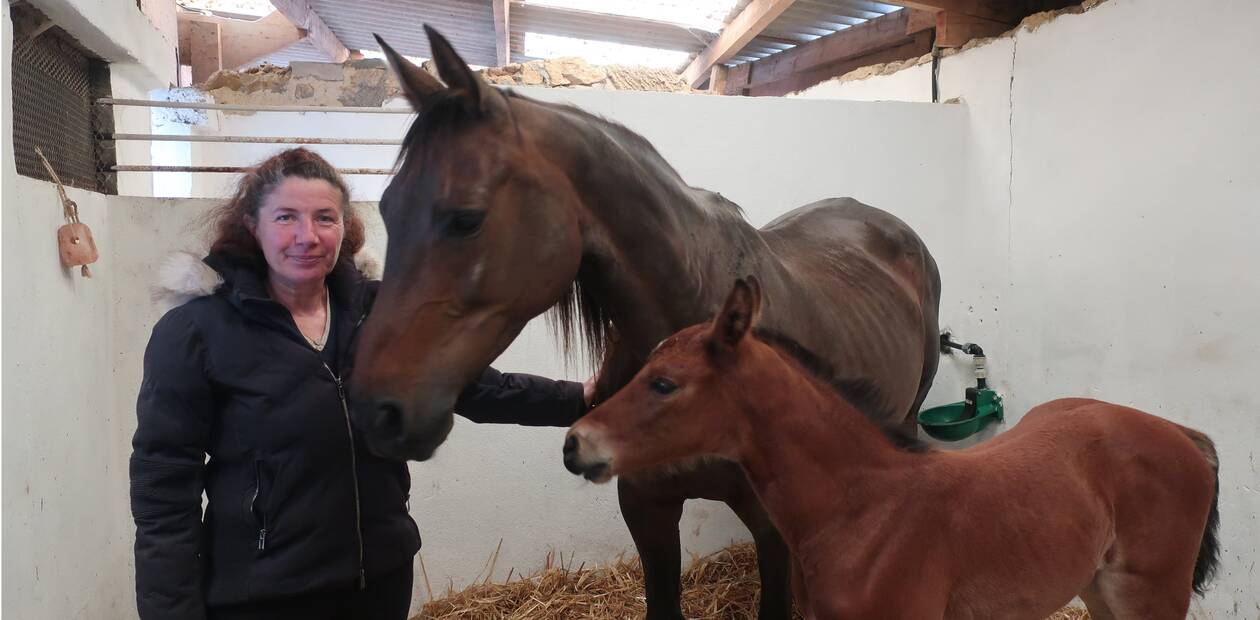 découvrez le poney club blue nash à toulouse : cours d'équitation pour enfants et adultes, balades à poney, stages et activités équestres dans une ambiance conviviale et familiale.