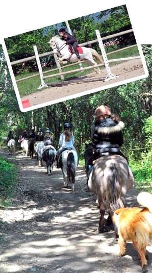 découvrez le poney club de fenouillet : activités équestres, cours d'équitation pour enfants et adultes, balades à poney et ambiance conviviale près de toulouse. inscrivez-vous dès maintenant !