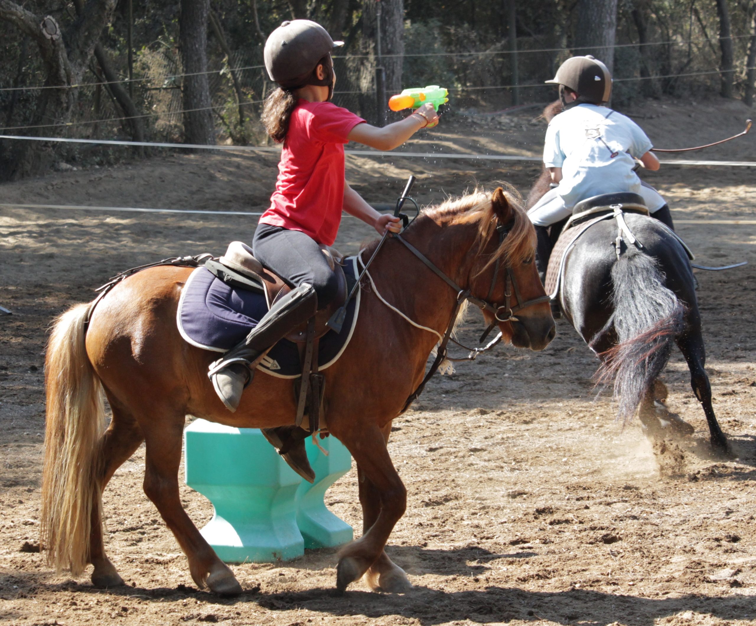découvrez les tarifs et activités proposés par notre poney club à marseille. initiation, cours, stages et balades pour enfants et adultes dans un cadre convivial et sécurisé.