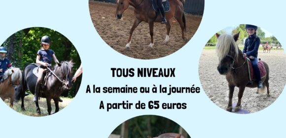 découvrez le poney club monteclin : des activités équestres pour enfants et adultes, des cours d'équitation, balades à poney et stages dans une ambiance conviviale. inscrivez-vous pour vivre la passion du cheval en toute sécurité près de chez vous !