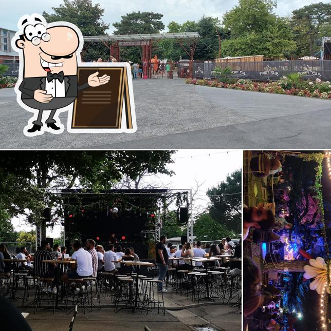 découvrez notre poney club à toulouse : cours d'équitation, balades en poney, activités pour enfants et animations nature dans une ambiance conviviale et sécurisée.