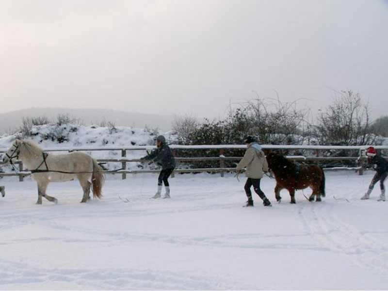 découvrez le poney club de verrières : un lieu convivial pour initier petits et grands à l’équitation, profiter de balades à poney, cours adaptés et activités en pleine nature près de chez vous.