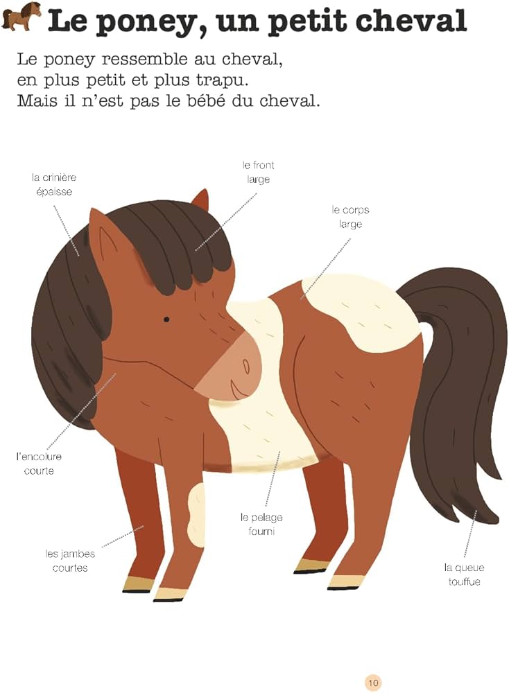 découvrez les principales caractéristiques des poneys ainsi que des conseils pratiques pour leur assurer des soins adaptés et garantir leur bien-être au quotidien.