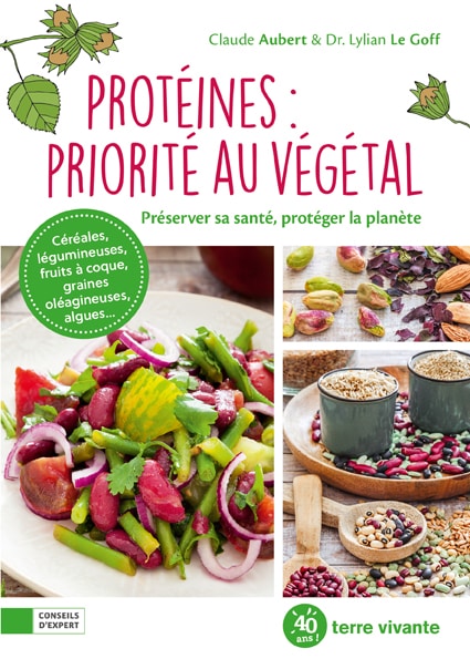 découvrez les bienfaits des protéines végétales pour la santé : sources, conseils nutritionnels et astuces pour intégrer facilement ces alternatives saines à votre alimentation.