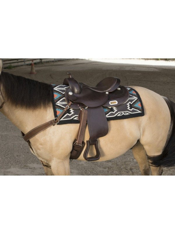 découvrez comment choisir une selle western confortable pour vos randonnées et compétitions, alliant bien-être et performance équestre.