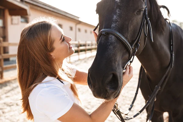 découvrez les étapes clés et conseils essentiels pour réussir le débourrage de votre cheval en toute sécurité et douceur.