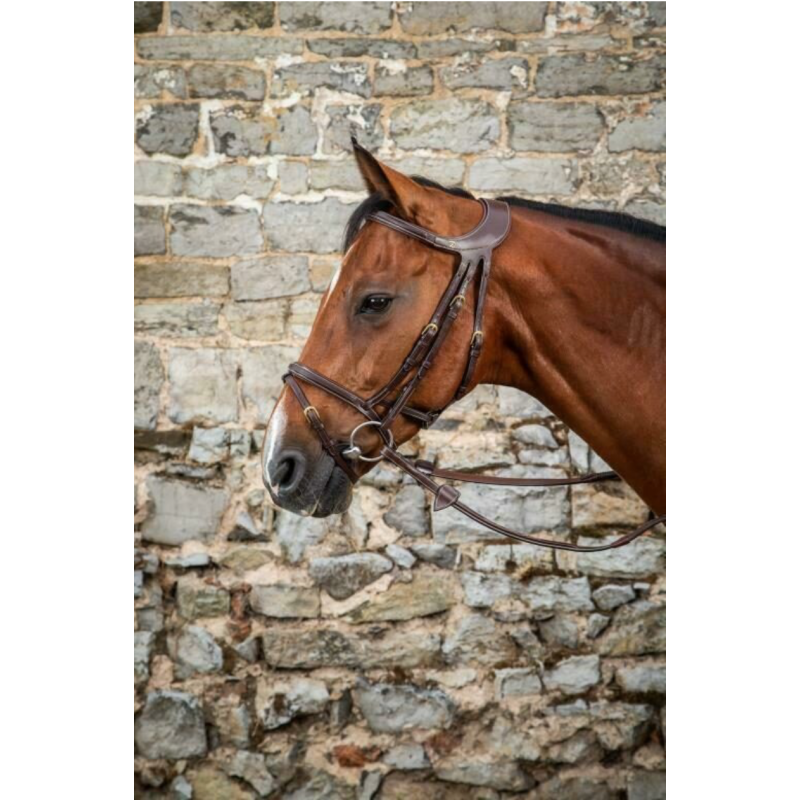 découvrez comment choisir un bridon sur mesure pour votre cheval, alliant confort et performance pour une meilleure communication et harmonie.