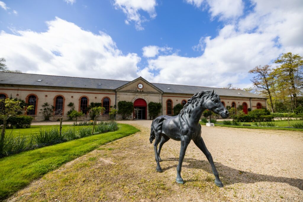 découvrez comment trouver un cheval dans les haras nationaux. guide complet pour sélectionner, visiter et acheter un cheval en france.