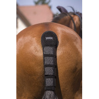 découvrez comment assurer la sécurité et le confort lors du transport particulier de vos chevaux grâce à des solutions adaptées et professionnelles.