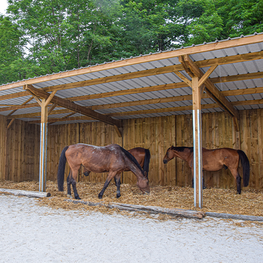 découvrez comment choisir le kit d'abri pour chevaux adapté à vos besoins pour offrir confort et protection à vos chevaux.