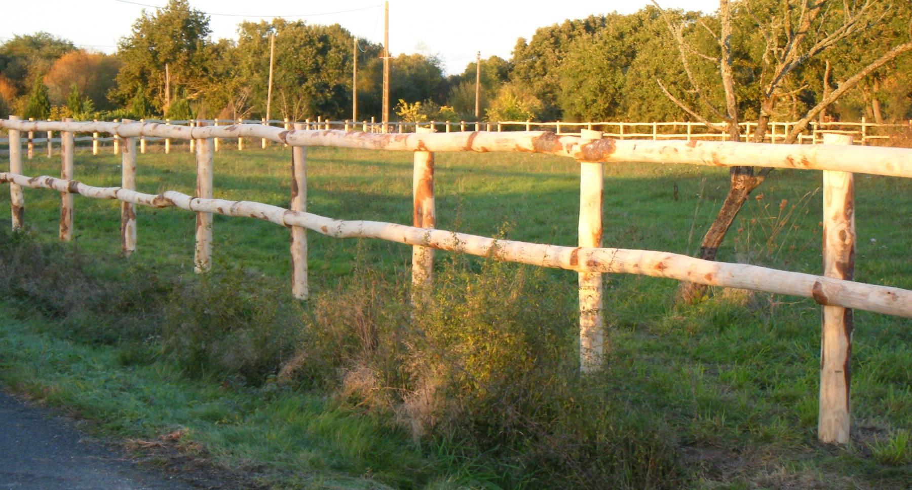 découvrez notre sélection des meilleurs piquets en bois pour clôture de chevaux, alliant robustesse et durabilité pour protéger efficacement vos animaux.