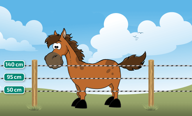 découvrez les meilleurs piquets en bois pour clôture de chevaux, alliant robustesse et durabilité pour sécuriser efficacement vos enclos.