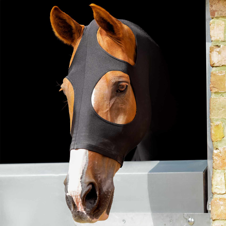 découvrez comment protéger efficacement votre équidé avec protec cheval, des solutions adaptées pour la santé et le bien-être de votre cheval.