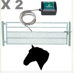 découvrez comment choisir la caméra idéale pour filmer vos chevaux en toute simplicité et capturer chaque moment précieux.