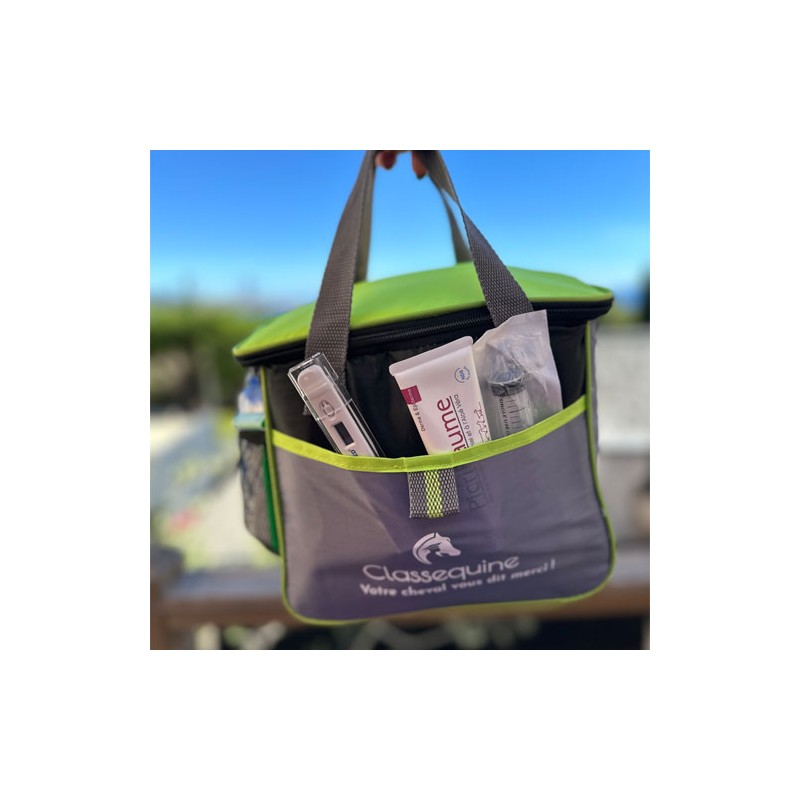 service de secours rapide pour chevaux en détresse, assistance urgente disponible 24/7 pour garantir la sécurité et le bien-être de votre cheval.